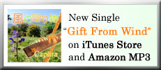 GiftFromWind_Barner.jpg